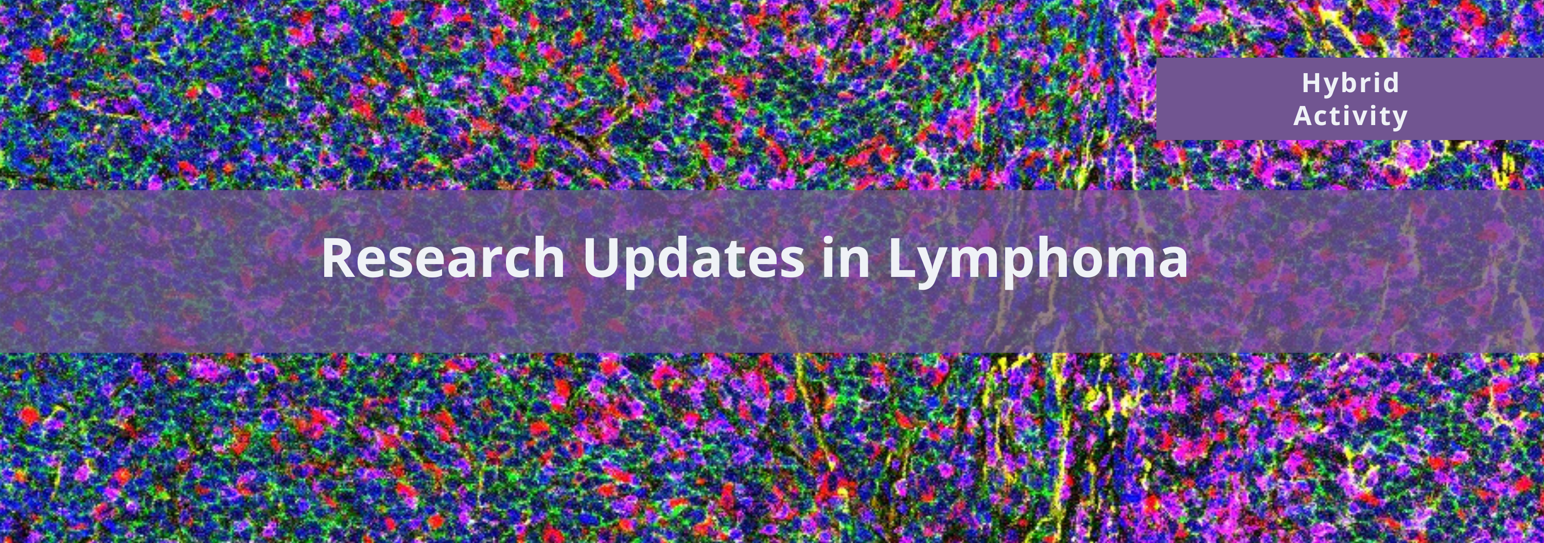2024 Research Updates in Lymphoma Banner